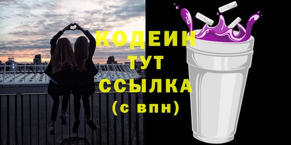 гашик Алексин