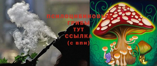 гашик Алексин