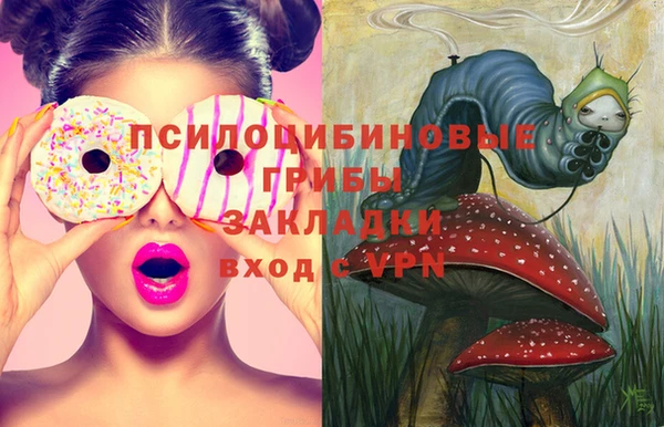 apvp Абаза