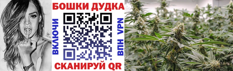 Конопля SATIVA & INDICA  дарк нет формула  Энем  купить закладку 